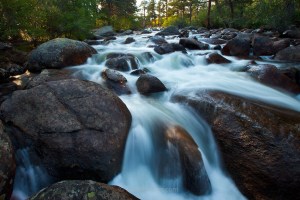 RMNP-Stream20100726-MG-001716